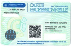 Carte Professionnelle for Real Estate Agent France