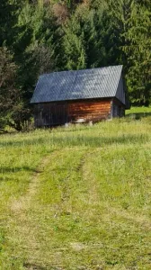 Terrain à bâtir À Vendre Scărisoara 